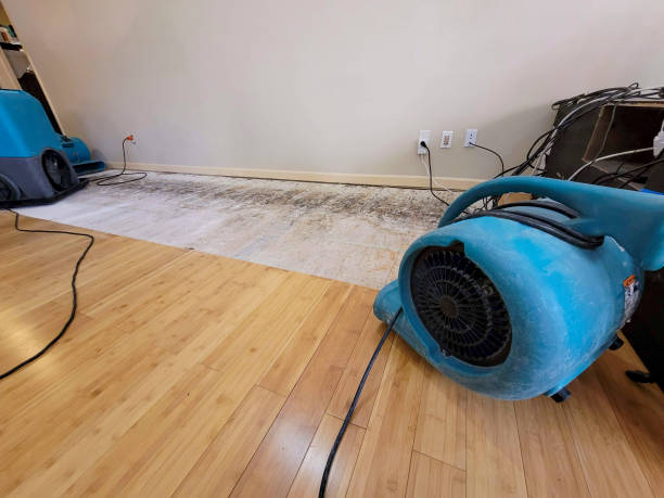 Professional Sewage Cleanup technician working in Farmingdale, NJ
